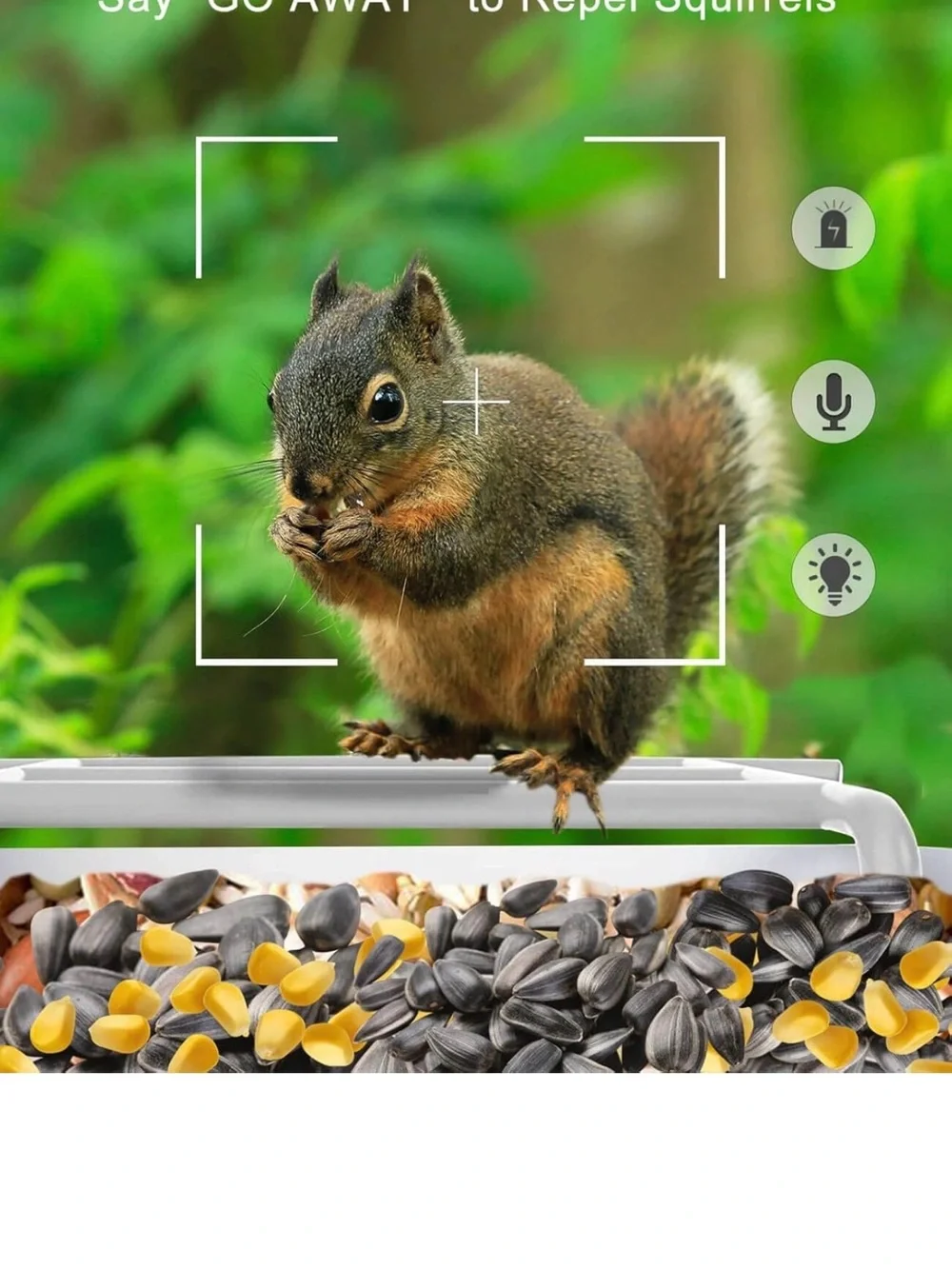 Remote Control Camera Bird Feeder – Blue/White Roof